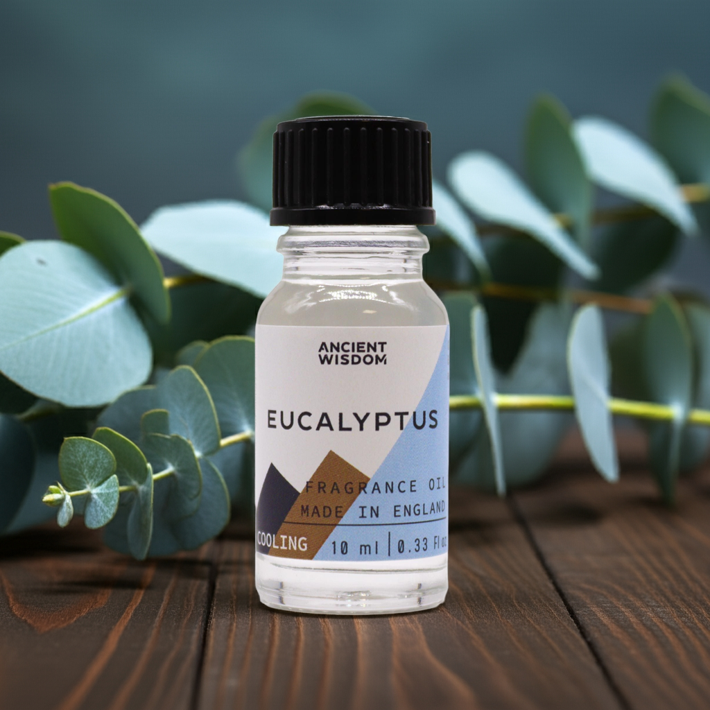 10ml Eucalyptus Fragrance Oil