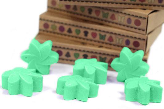 Box of 6 Wax Melts - Hidden Garden