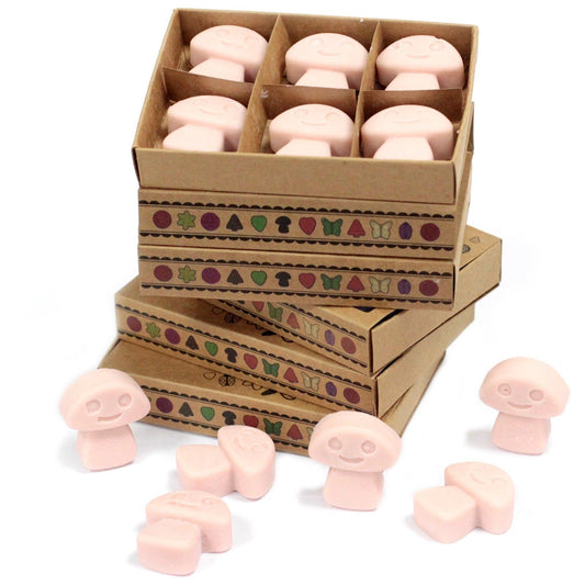 Box of 6 Wax Melts - Old Ginger