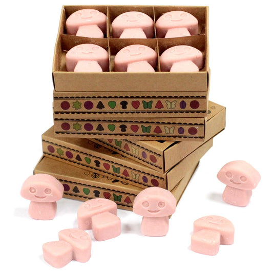 Box of 6 Wax Melts - Coffee Trader