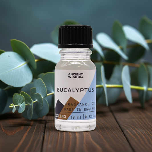 10ml Eucalyptus Fragrance Oil