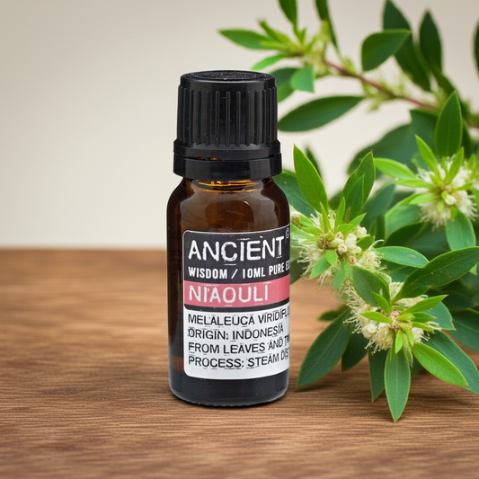 10 ml Niaouli Essential Oil