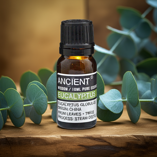 10 ml Eucalyptus Essential Oil