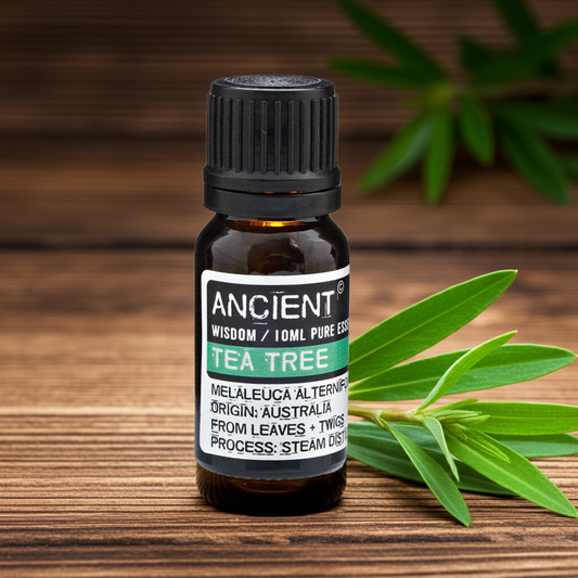 10 ml Tea Tree Essential Oil